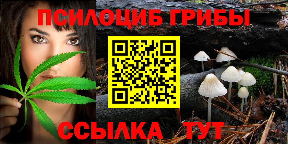 Янаул  Псилоцибиновые грибы Psilocybine cubensis  Вход с VPN  Галлюциногенные грибы Psilocybine cubensis 