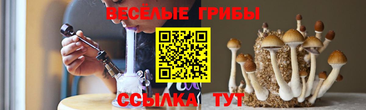 Галлюциногенные грибы мицелий Янаул